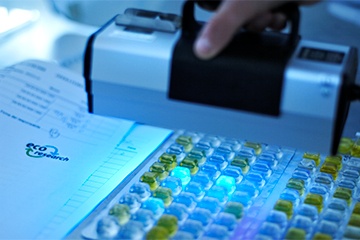 Der Verein Eco Research entsteht